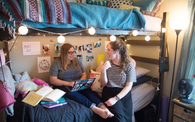 A Short Guide to Getting Along with Your Roommate